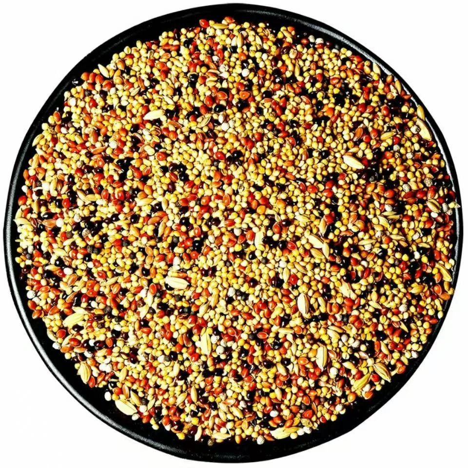 鹦鹉饲料营养粮带壳小米谷子混合粮适用于虎皮玄凤牡丹文鸟玉鸟