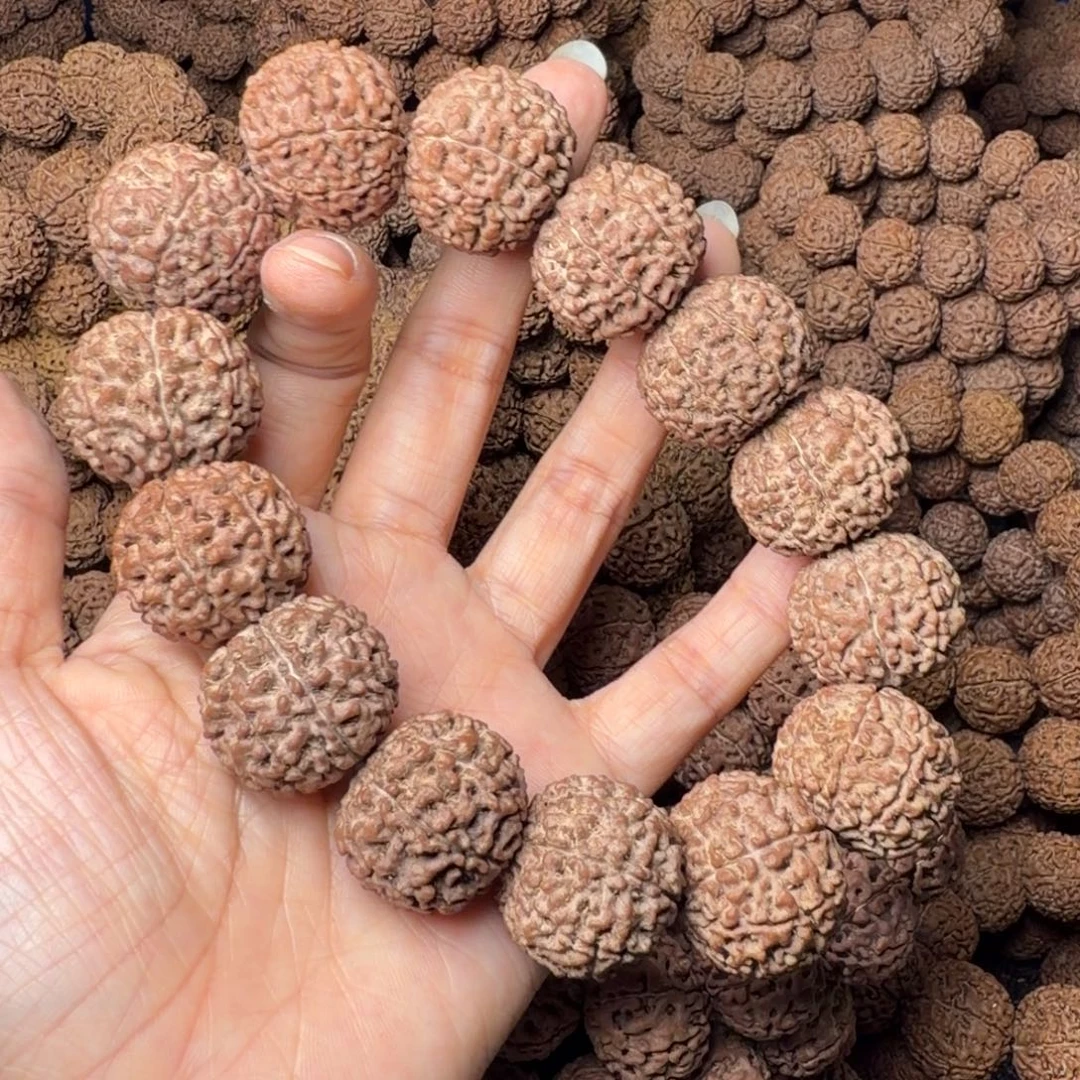 金刚菩提手串8瓣卡25尺，11号