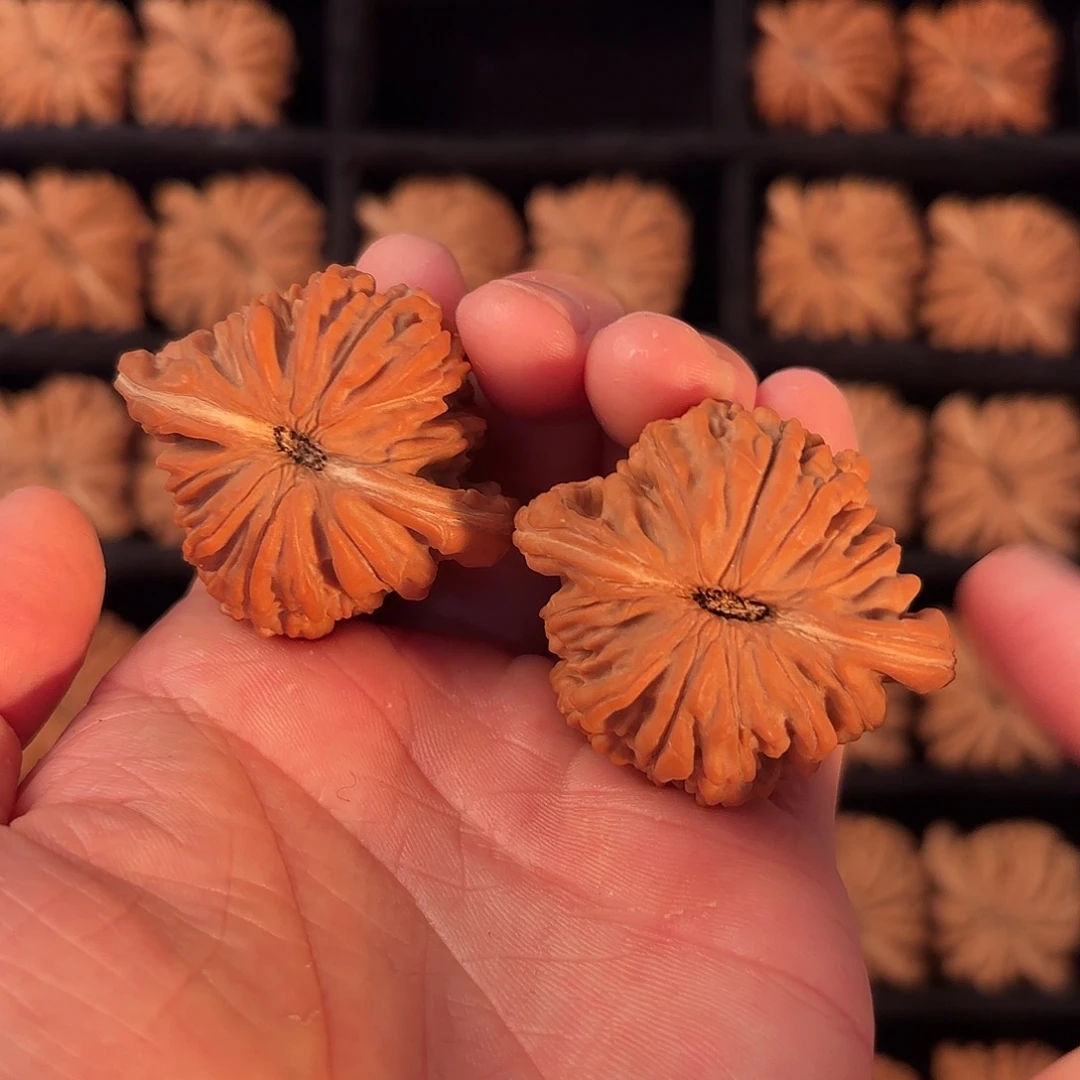 拭***待核桃手串/手链）海洋洋洋洋洋