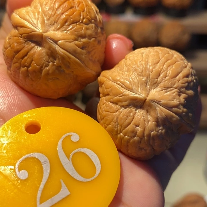 粗筋彩西瓜35尺寸