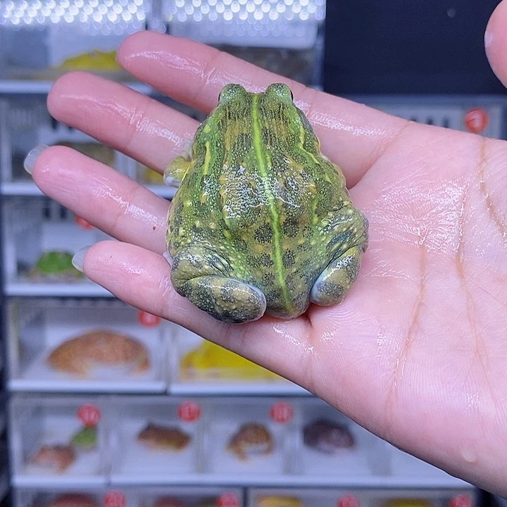 特价秒杀现货特价