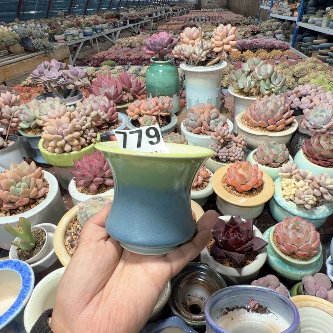 凑满50发货 内口8