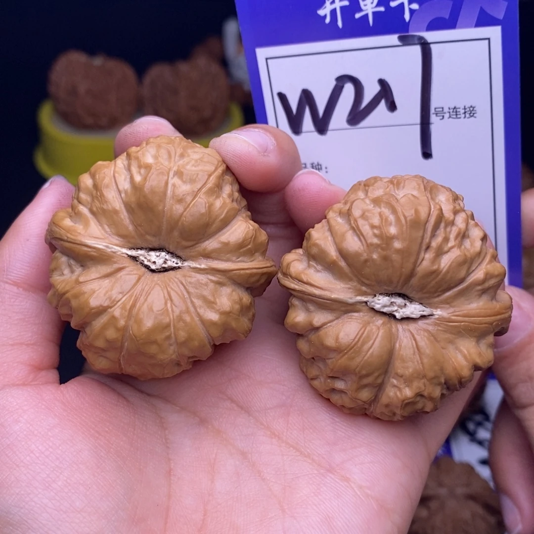 文玩核桃吊坠W217链接 南瓜墩42尺