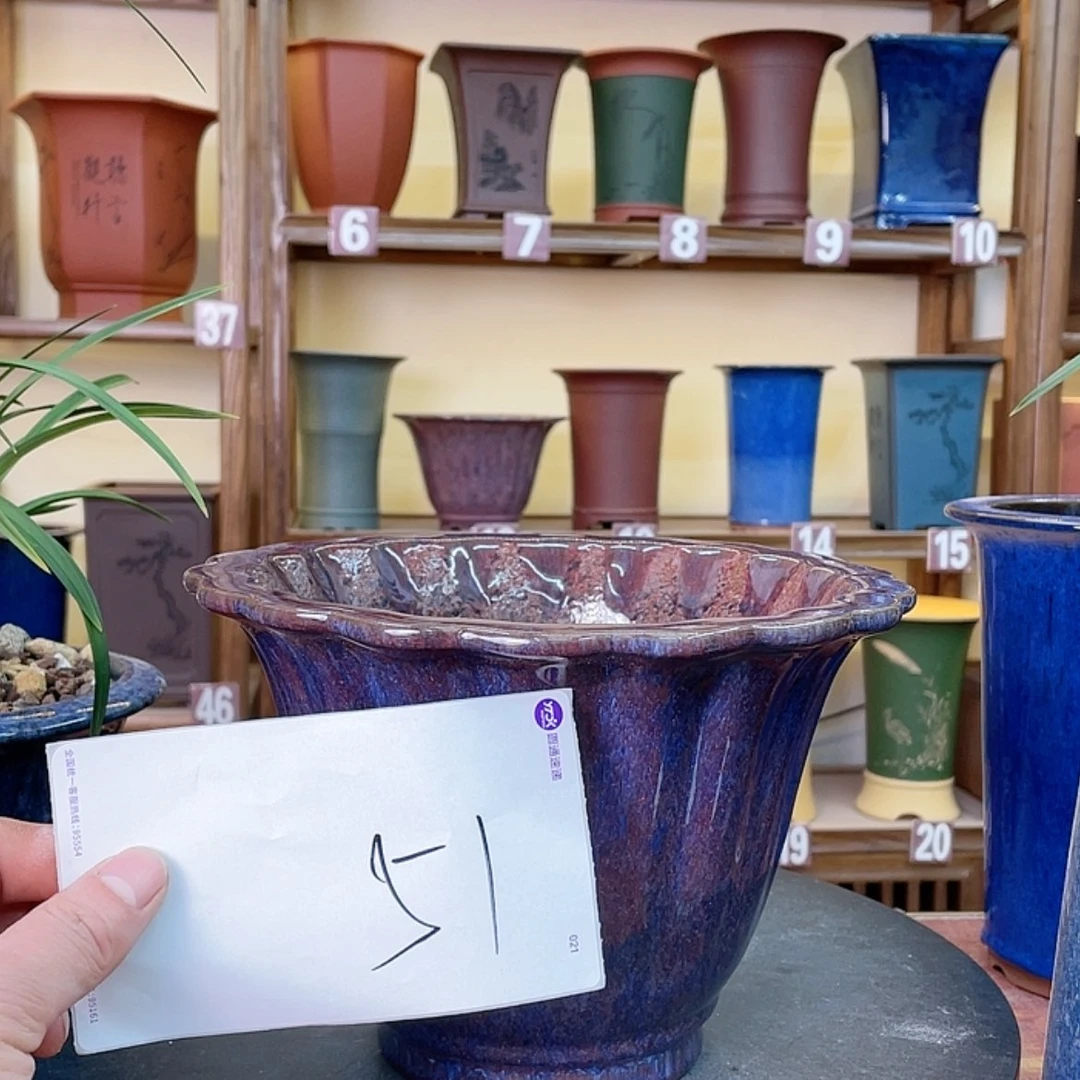 【闪购商品】紫砂花盆圆*兰花643454844646646494