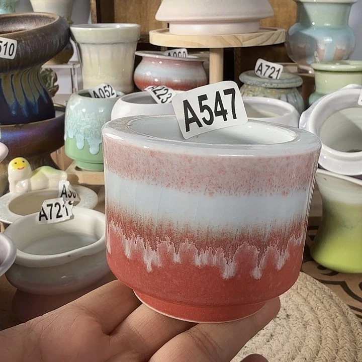 满28包邮当天凑够口5.5高6.5