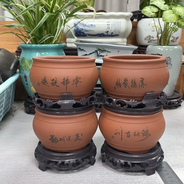 精美花盆抢购福利