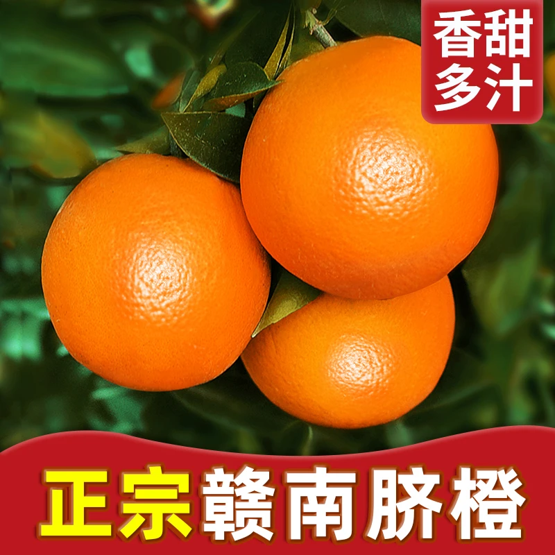 现摘正宗江西赣南脐橙好吃应季水果70玲珑果10斤装