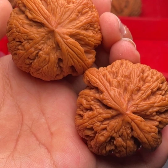 文玩核桃把件秦岭山脉核桃