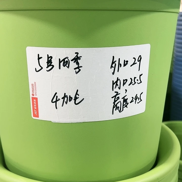 特价5号口29高24.5果绿6只带托