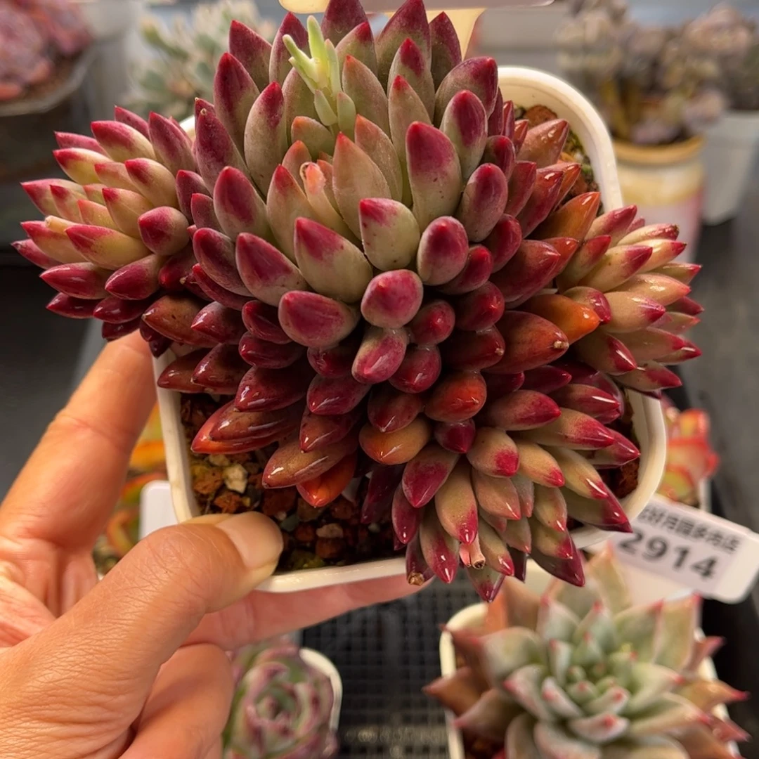 2917 满30包邮天冷地区必拍保温箱