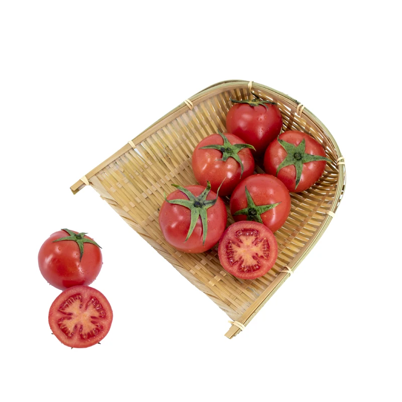 东升【供港蔬菜】供港品质健康放心供港大番茄500g次日达绿色蔬菜