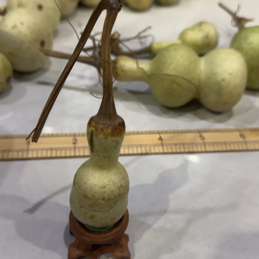 青皮不包成青皮不包成