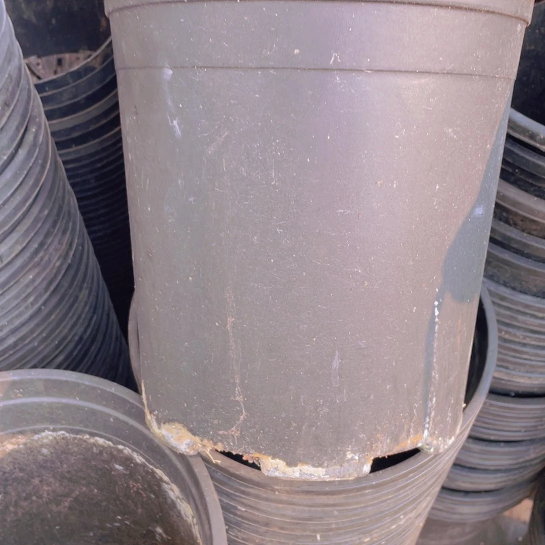 旧口径 24公分高度25黑嘉伦盆 7个