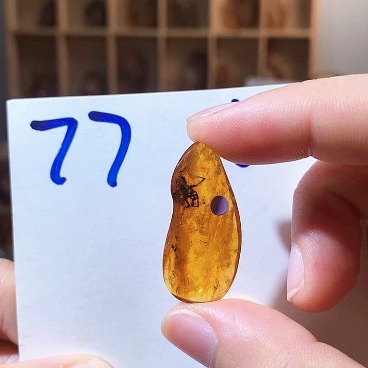 未镶嵌颈饰琥珀琥珀虫珀蜘蛛