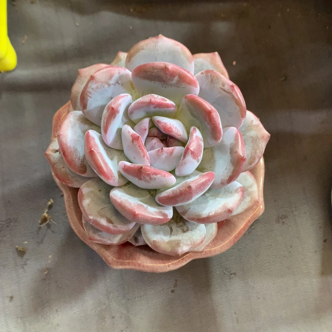 哈哈哈哈哈哈哈哈哈哈