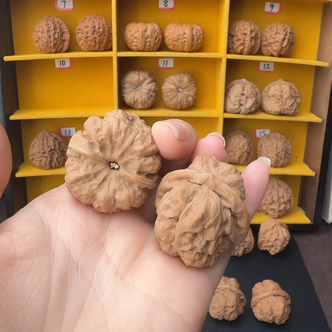 把件文玩核桃蛤蟆有修，不退不换