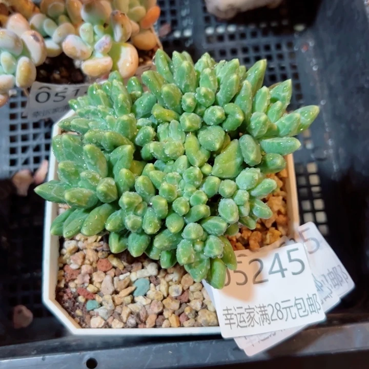 幸运的是我没有遇到过这样好