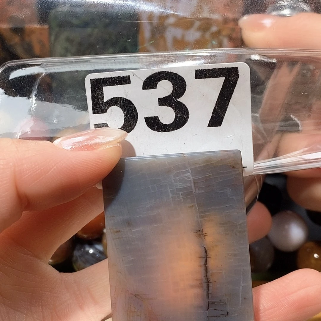 未镶嵌天然北票树化玉吊坠硅化玉