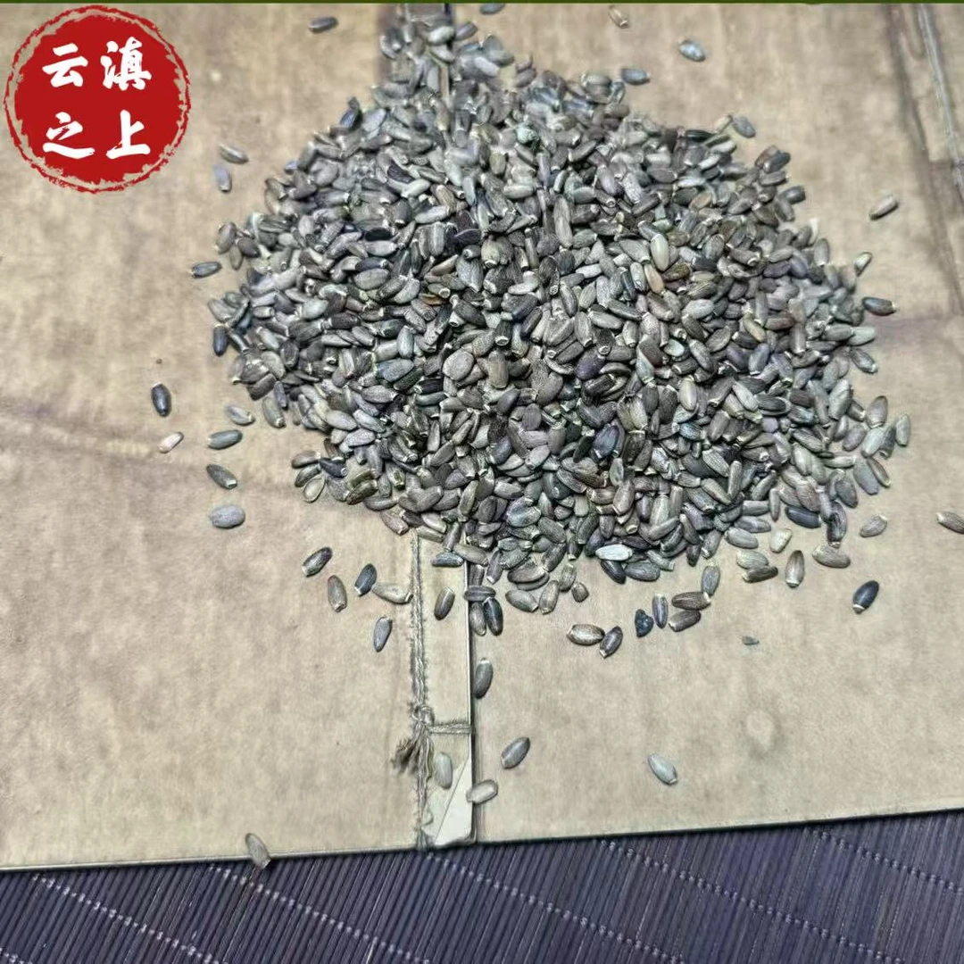 【阿豪精选】水飞蓟  可搭配黑豆