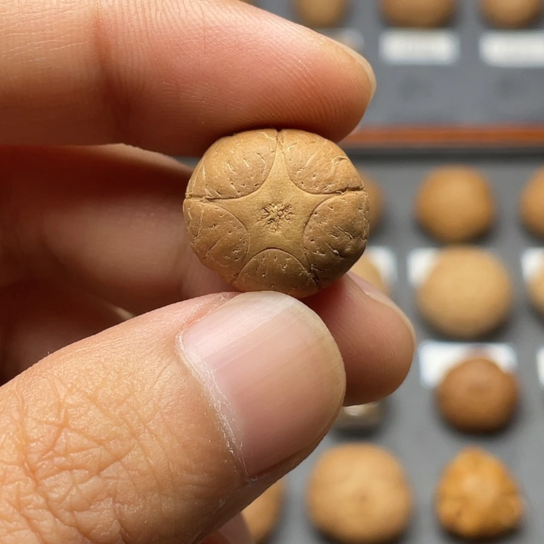 虚***生凤眼菩提手串打孔不退不换
