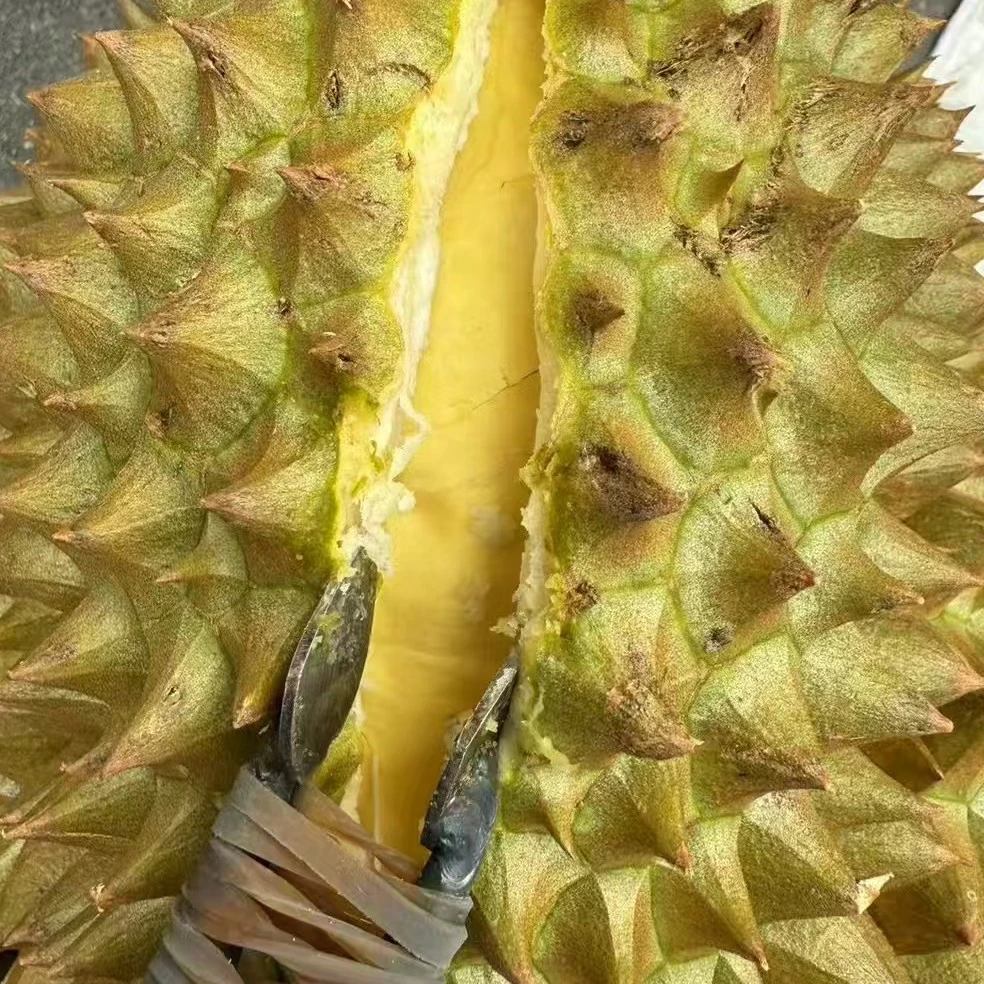 新鲜树熟金枕榴莲一个(核小，约4-5斤左右)(一物一拍)榴莲同城送榴莲同城送榴莲同城送金枕泰国