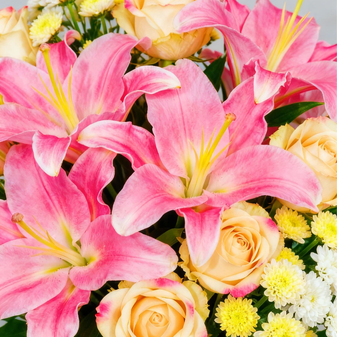 【秋意浓】香槟玫瑰10枝+混色小菊5枝+百合2枝  鲜花次日达批发直播品质鲜花 全场任意满两单顺丰包邮