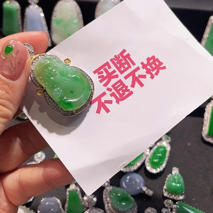 阳***光翡翠银S925镶嵌颈饰