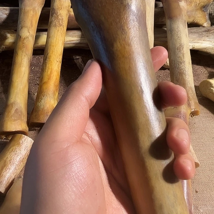yy驼骨整根整根驼骨驼骨