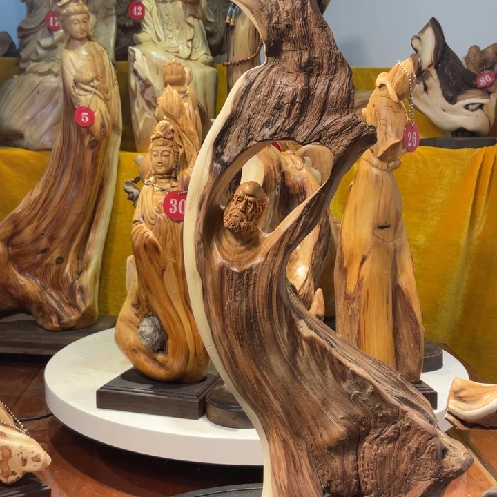 柏木（崖柏）崖柏   达摩