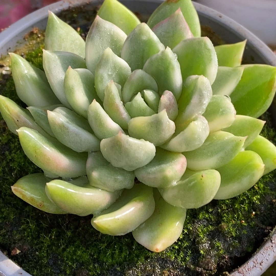 019东云杂哈哈哈哈哈哈