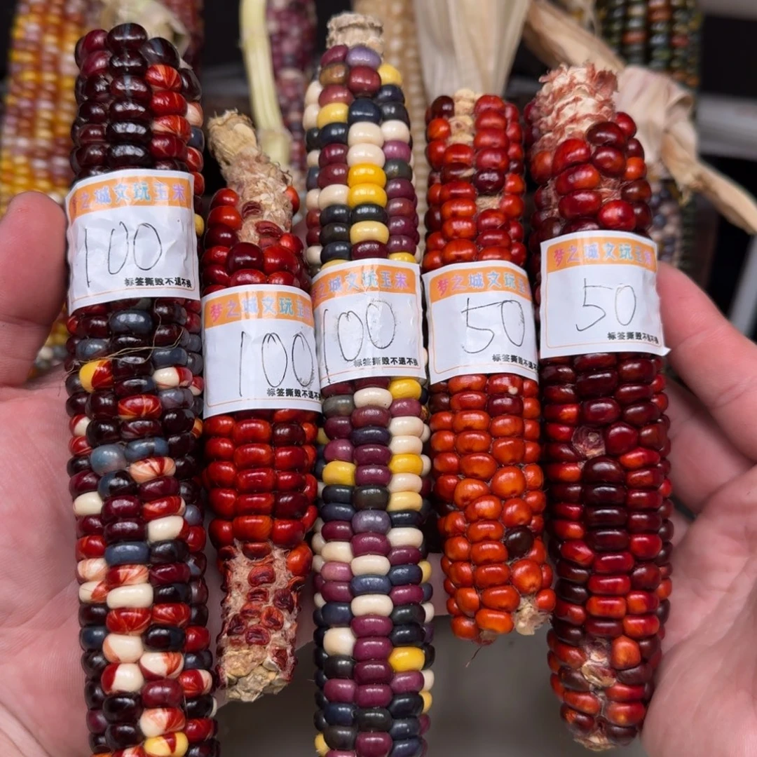 南***意吊坠柏香籽/百香籽