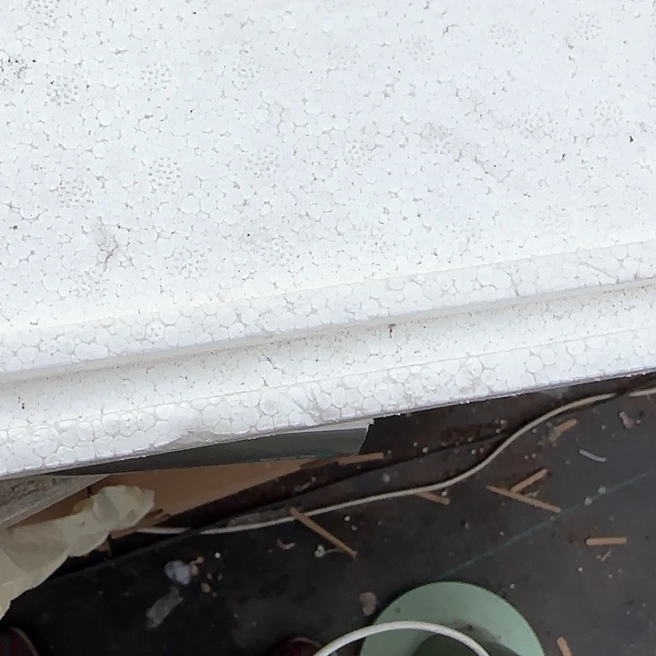 保温箱青蛙王子1111