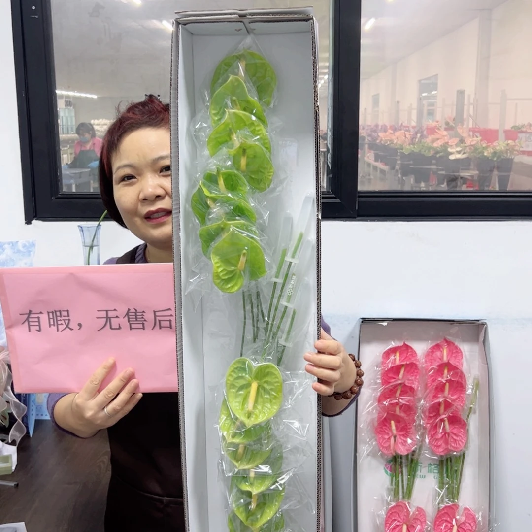 完全开放绿掌-16枝装无售后款！