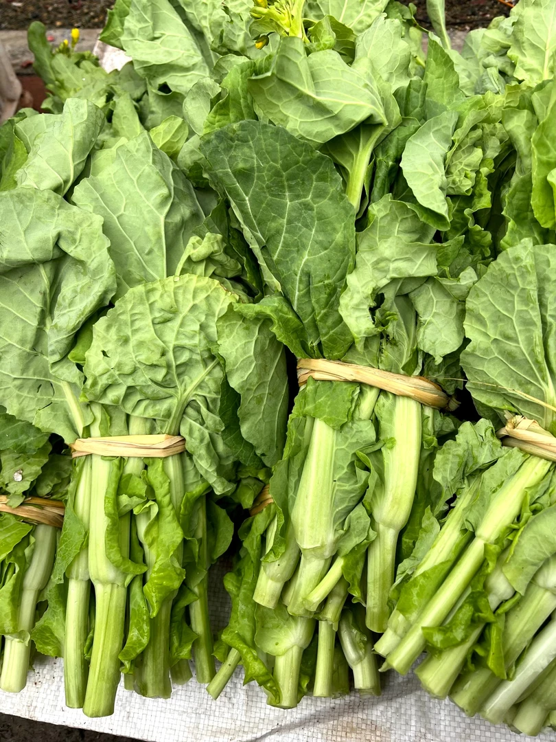 新鲜白菜苔湖南本地高山甜菜苔菜心应季蔬菜露天农家自种包邮