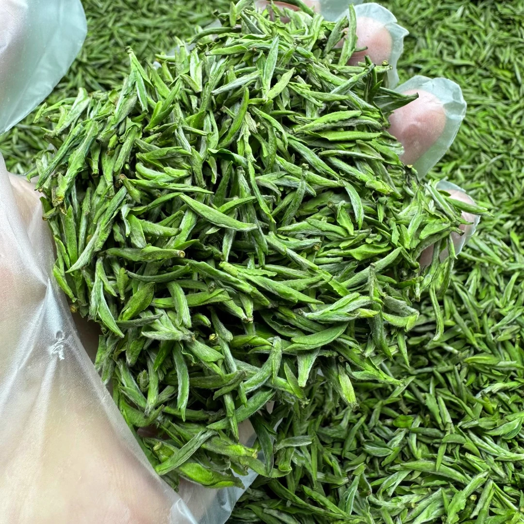 黄山毛峰2024年春茶兰花香耐泡