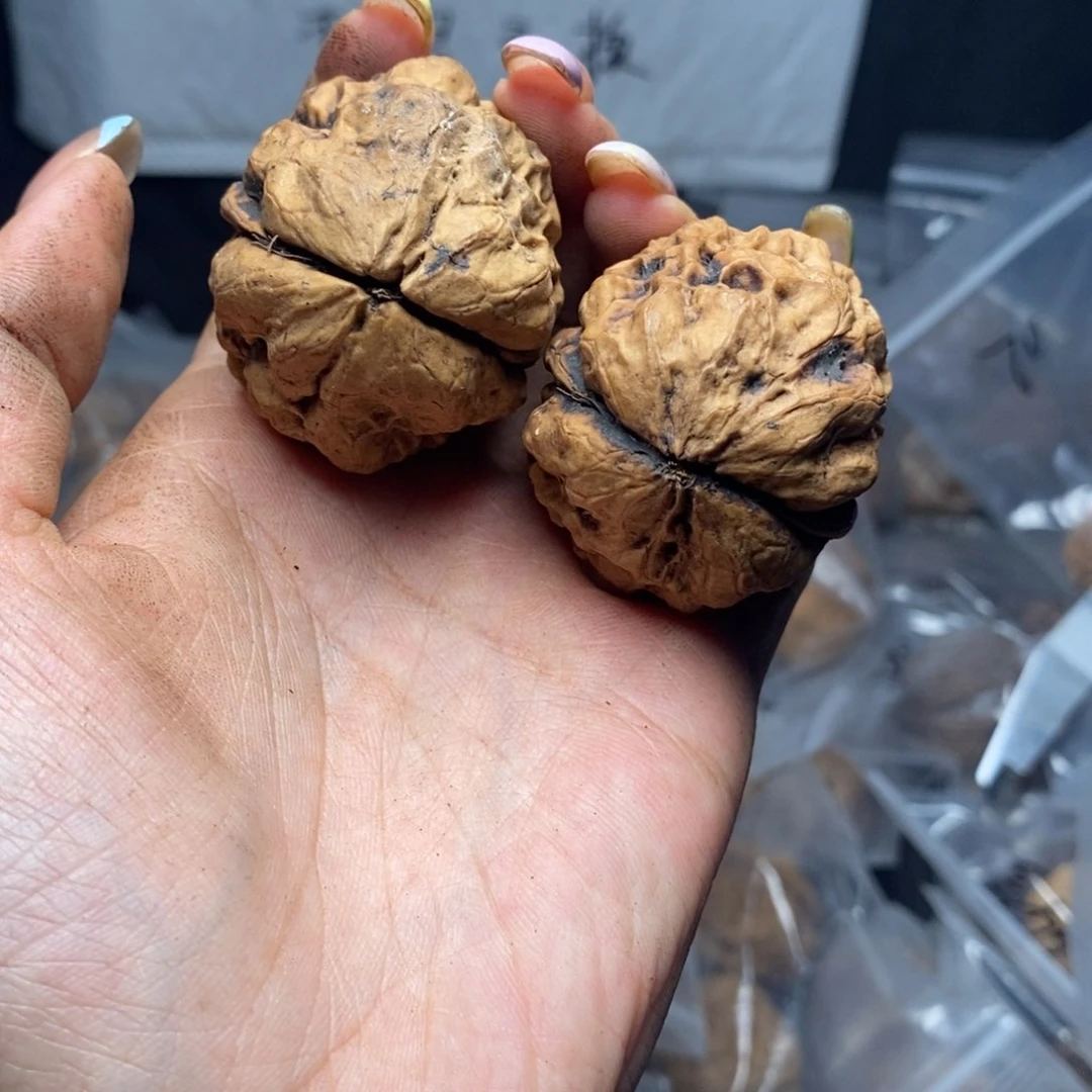 文玩核桃把件64号43mm