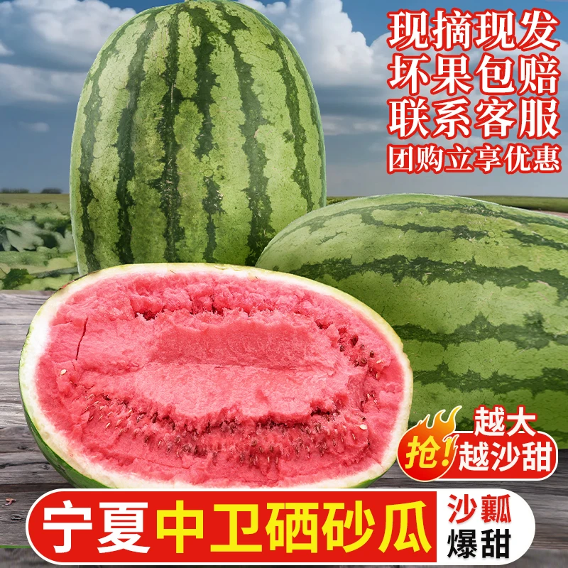 正宗宁夏中卫硒砂西瓜当季现摘新鲜沙瓤硒砂瓜爆甜石头瓜新鲜水果