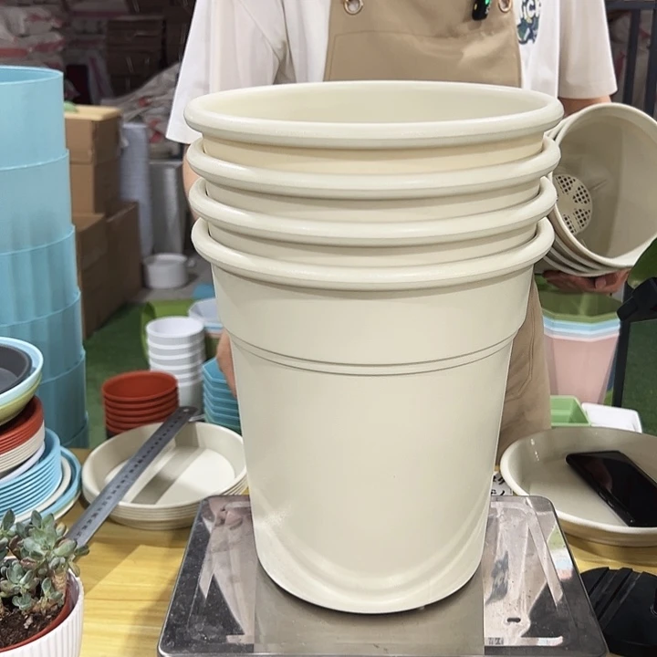 翻边口26高28米色无托4只