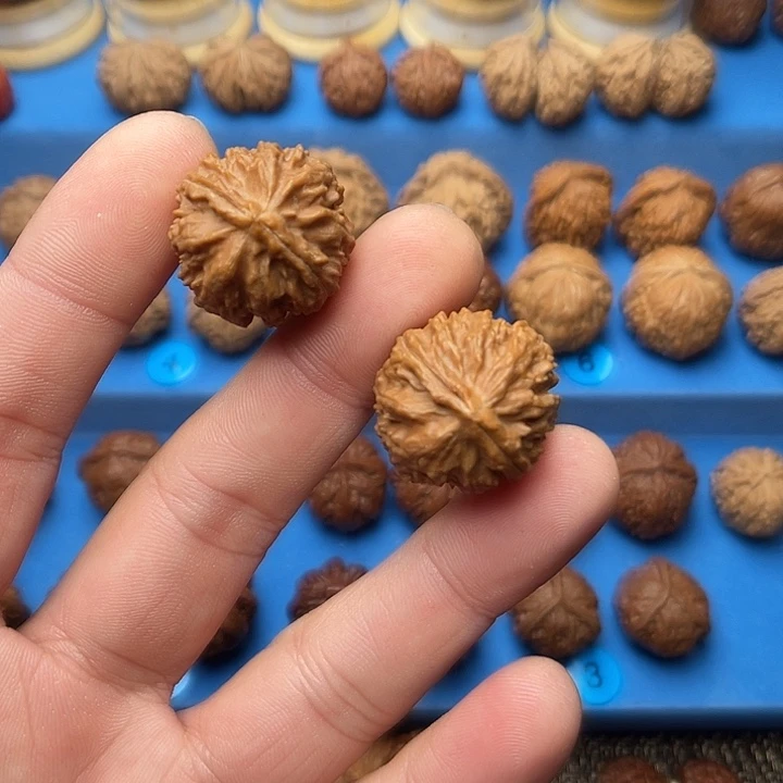 把件文玩核桃龙脊背小号