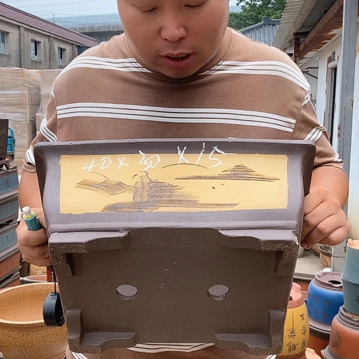 紫砂花盆盆栽观赏