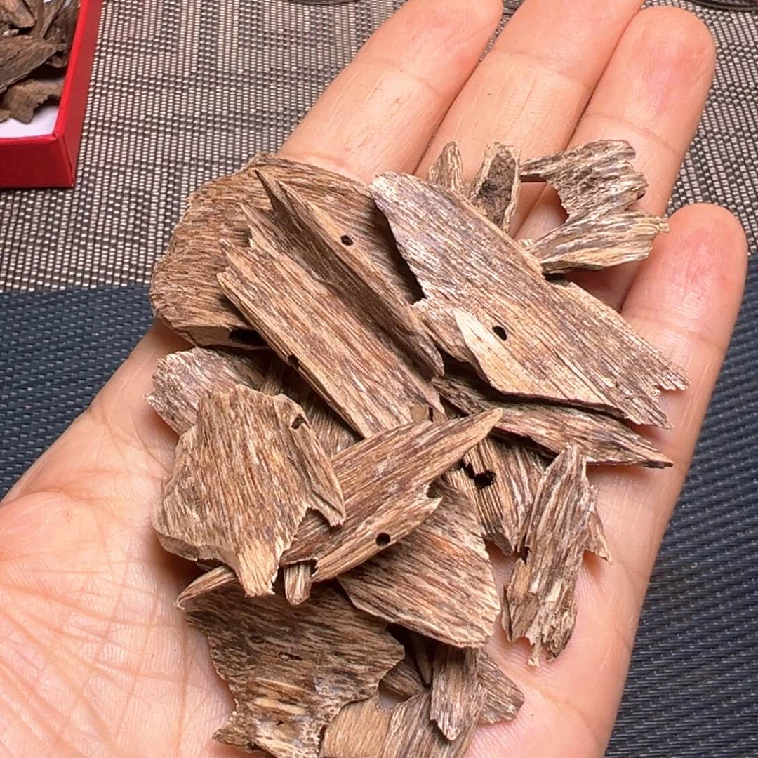 香榧木树心蚁漏10.7克