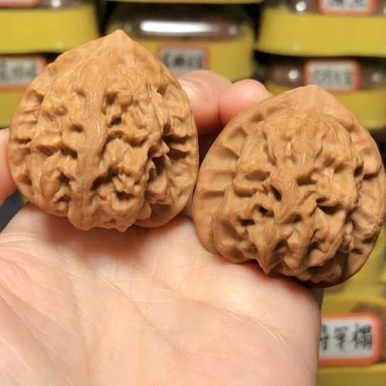 精品野生梨木台全品