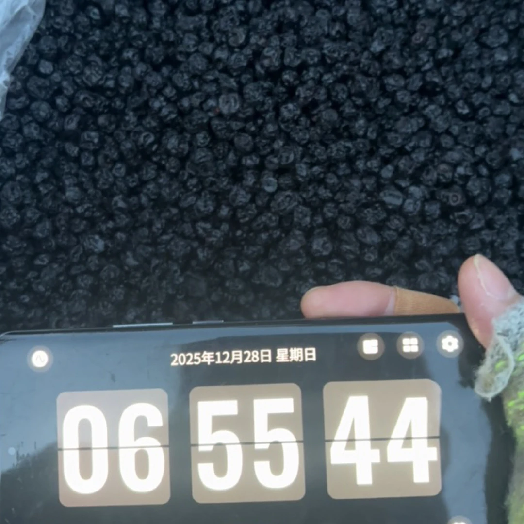 【小叶严选】长白山人参市场-蓝莓干-大果干原味无添加 12月28