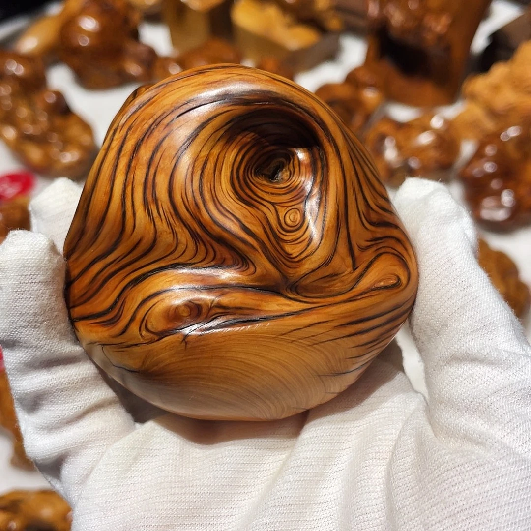 柏木（崖柏）太行崖柏