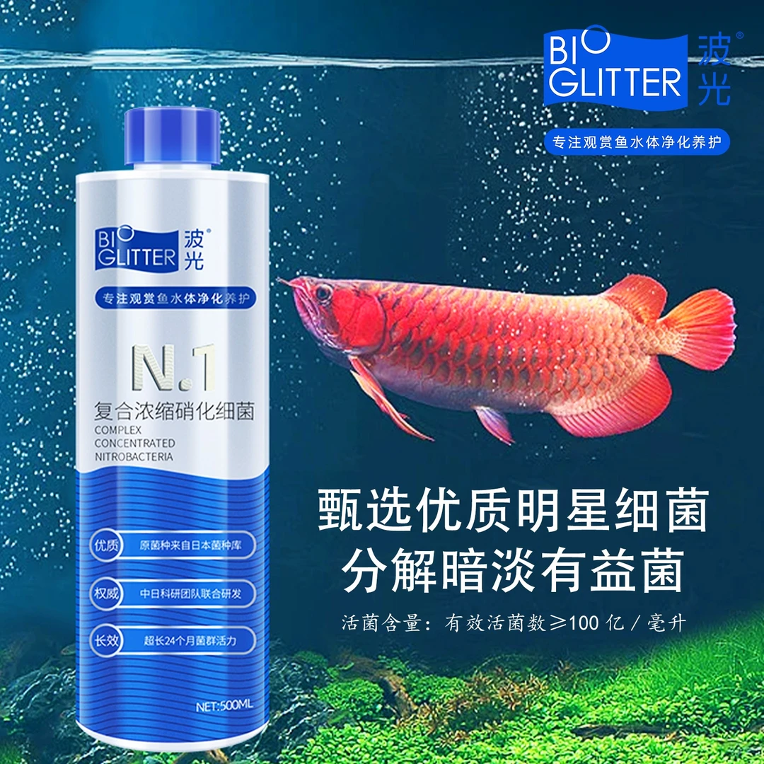 波光水族N1复合浓缩硝化细菌N0硝化伴侣碳源N3硝化细菌真空冻干粉
