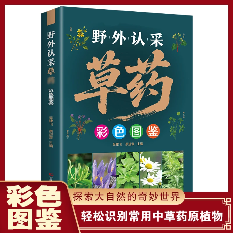 zy野外认采草药彩色图鉴图解简单实用快速认药中医草药大全书籍