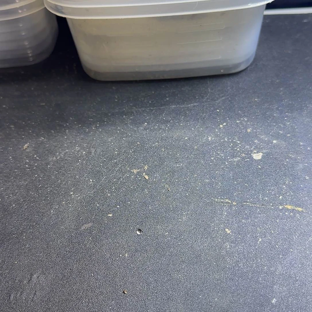 绿毛龟母11111111111