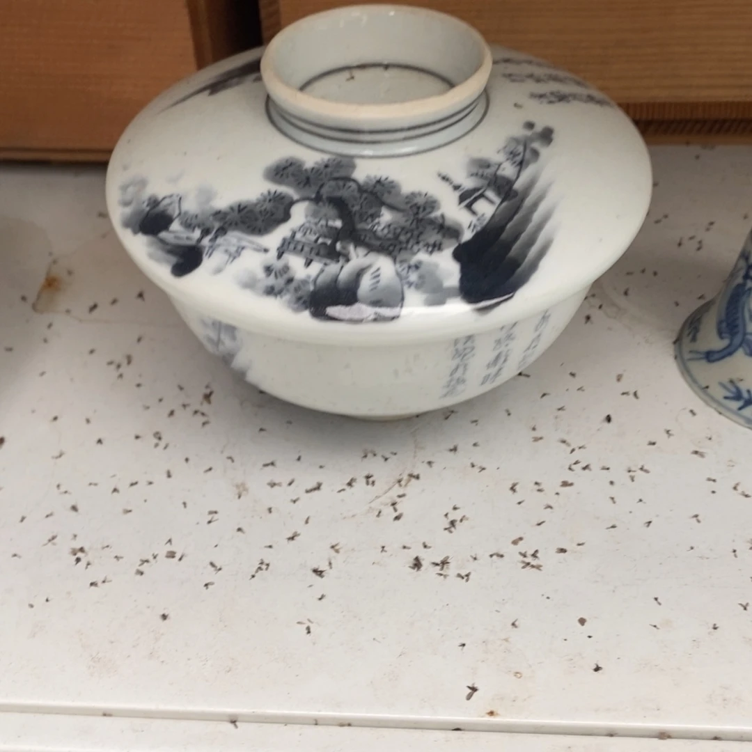 瓷片在家干了啥活还没有上班