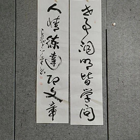 书法宋秉民。四尺对开。世事洞明