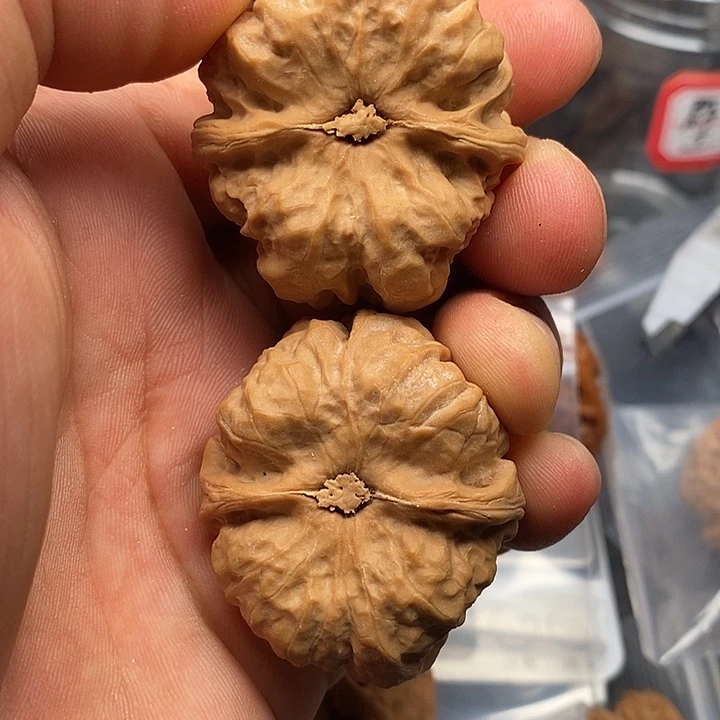 文玩核桃把件用****3肚45